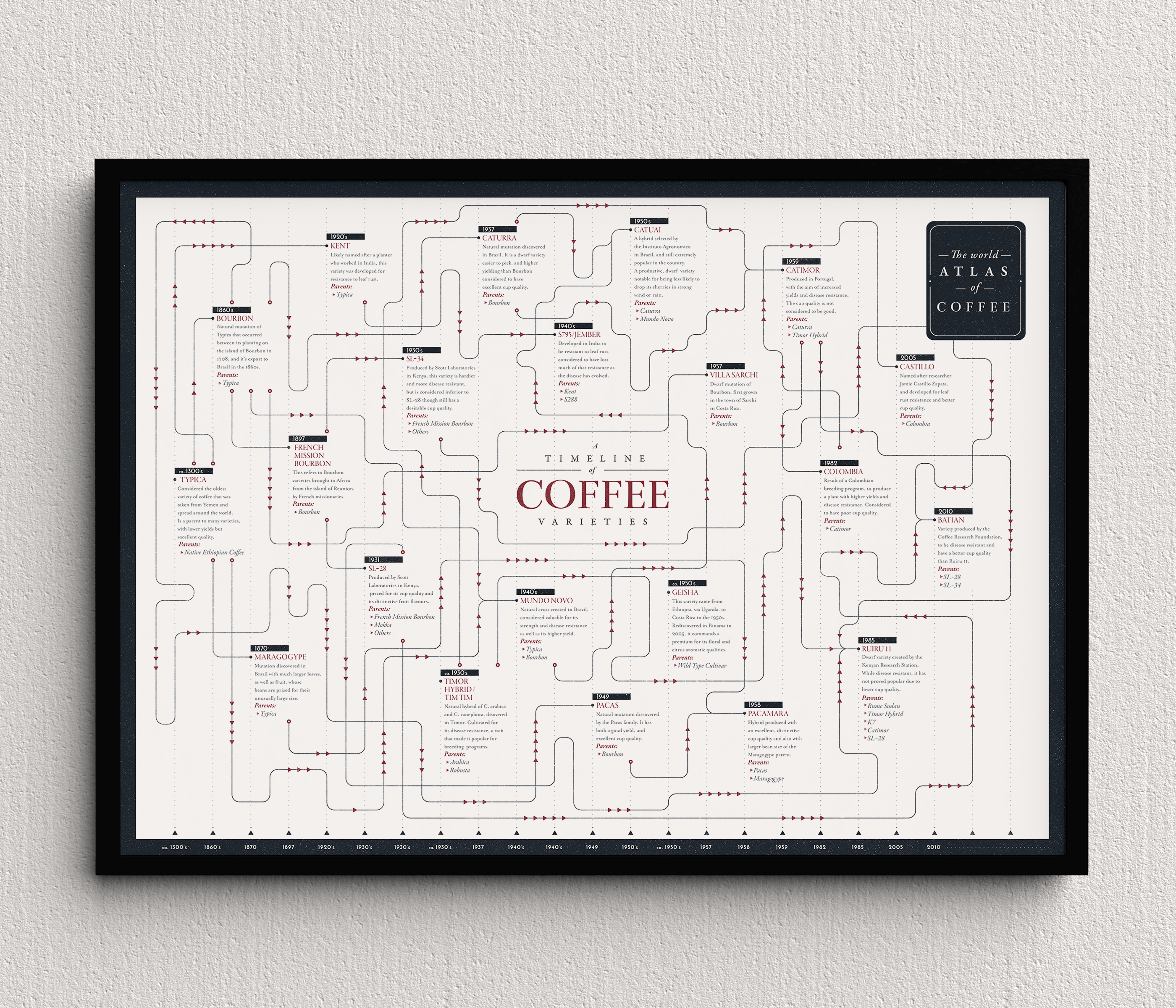 Variety Family Tree Timeline Print